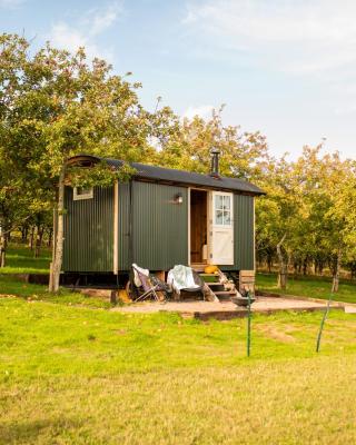 Harrys Hideout - Shepherd's Huts at Harrys Cottages