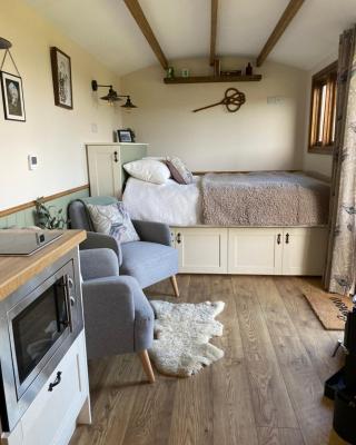 Silver Fern Glamping