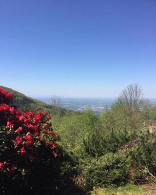 View from the Rock