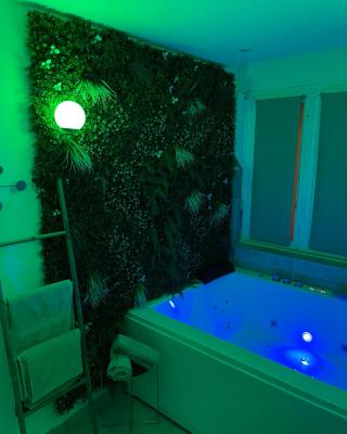 L'extasia appartement,spa jacuzzi Grenoble