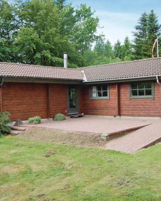 Three-Bedroom Holiday Home In Roslev