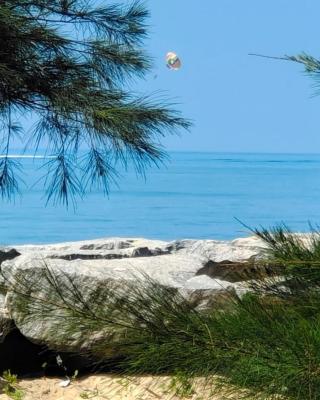 HIS GRACE CAMPING Near MALPE BEACH