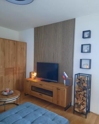 Apartment - Golden Fox 18 - Pohorske terase