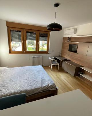 Apartment Maximus II lux