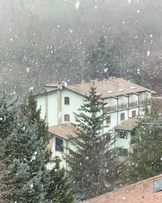 La casa nella Pinetina