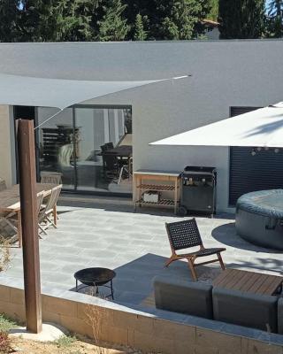 Magnifique villa avec jacuzzi et billard
