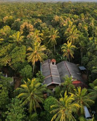 Wild View Stay