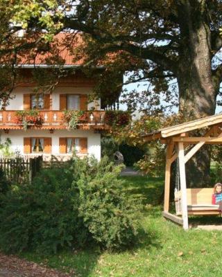 Braunhof