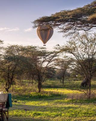 Gnu Ndutu Camp