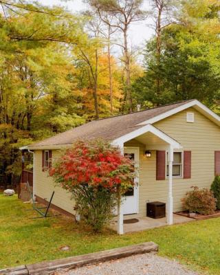 Cozy Cottage near Cook Forest Park, ANF