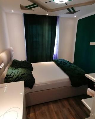 Luxury Voll möblierte 2 Zimmer Appartement Aarau
