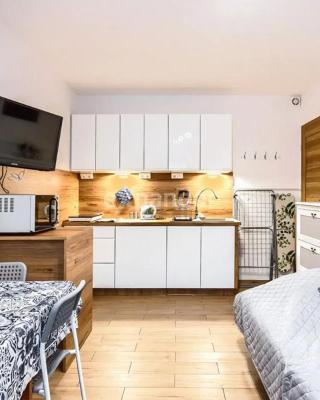 LUKSUSOWY Gaj Apartament by Apartamenty na dni Wrocław