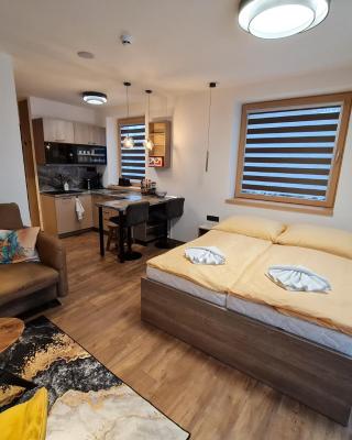 Apartman Veka-Hotel Ovruč