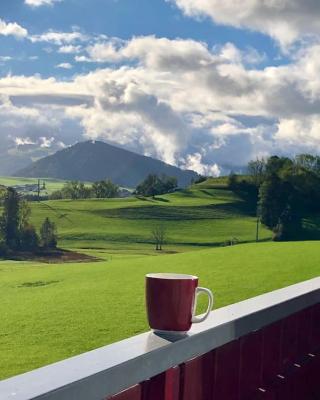 Panoramablick