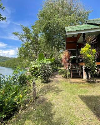 Mangrove bungalow & restaurant