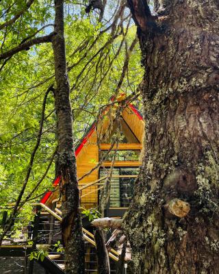 Casa del Árbol - Malalcahuello