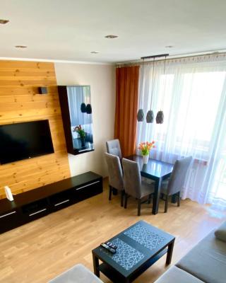Apartament Glamour Work&Relax, obok ARENY Gliwice, FV