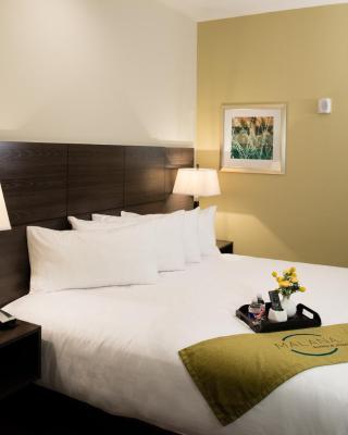 Malana Hotels & Suites