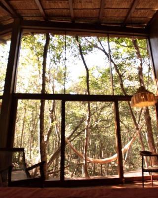 OJO DE AGUA. Design+pool. Vive la auténtica selva!