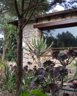 Giardino degli Ulivi