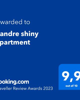 Zandre shiny apartment