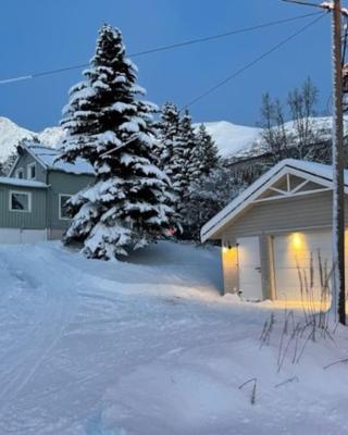 House with garage in central Lyngen