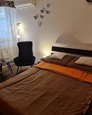 Tóvárosi apartman