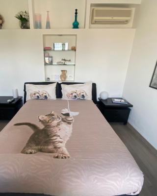 Alloggio Turistico Roberta San Pietro