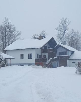 Vila Bělá pod Pradědem