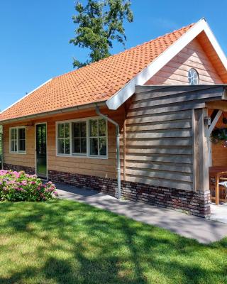 Lodges near the Rhine - Sustainable Residence