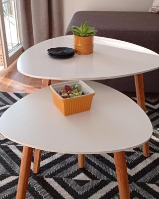 Apartman Vule