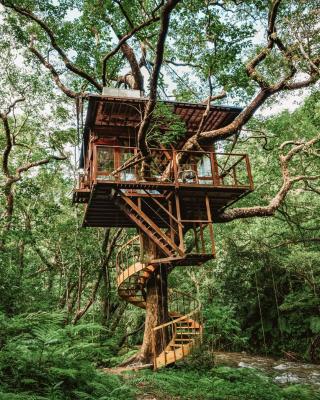 Treeful Treehouse Sustainable Resort