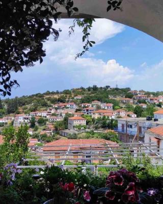 Σπίτι με απεριόριστη θέα