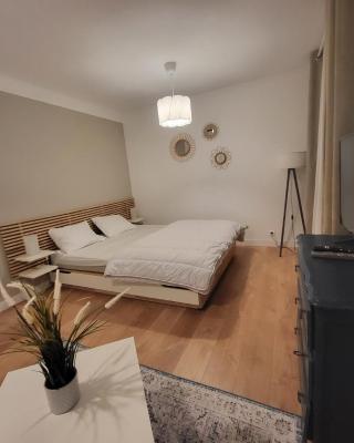 Appartement T1 bis 35m2 ANNECY proche centre ville REFAIT EN DECEMBRE 2021