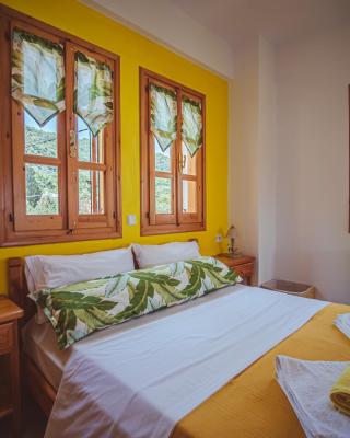 Lemon House for big family in Damouchari - Delicious Houses