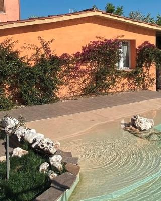 Orto Di Roma
