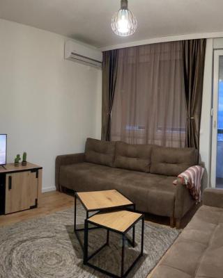 Apartman Ajs