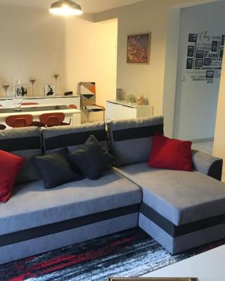 centre Pierrefonds superbe appartement + parking