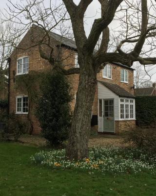 Beech View Cottage