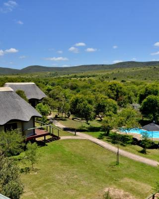 Garden Route Safari Camp