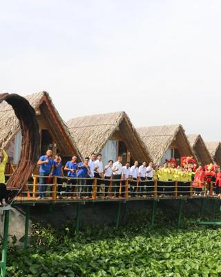 Coco Island Cồn Phụng
