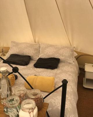 Cox Hill Glamping Badger