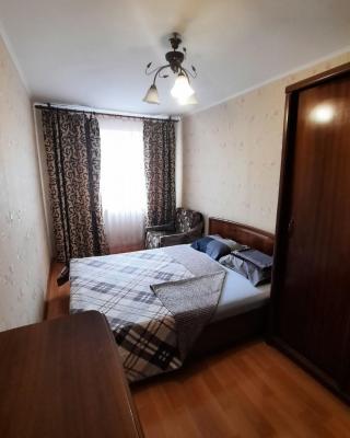 Two-bedroom apartment on Lenina avenue