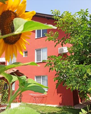 Guest House Sunflowers