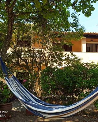 Ektora's House