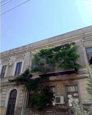 Beautiful 2-room apartment hosted by a Georgian Artist