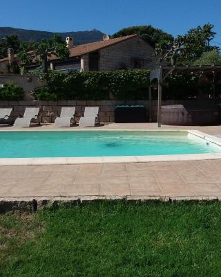 Magnifique villa piscine Propriano