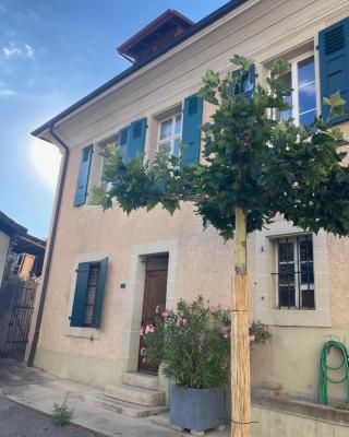 Charming Vinyard House - Lake Geneva