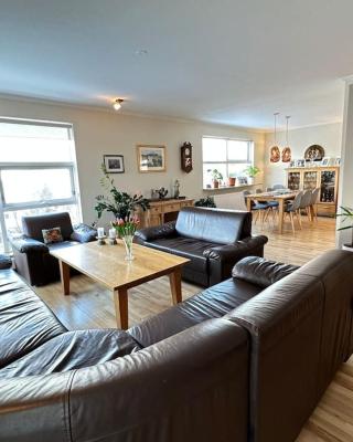 Spacious and Family Friendly apartment in Reykjavik