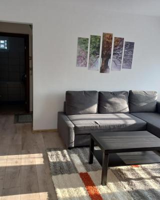 City Center Flat